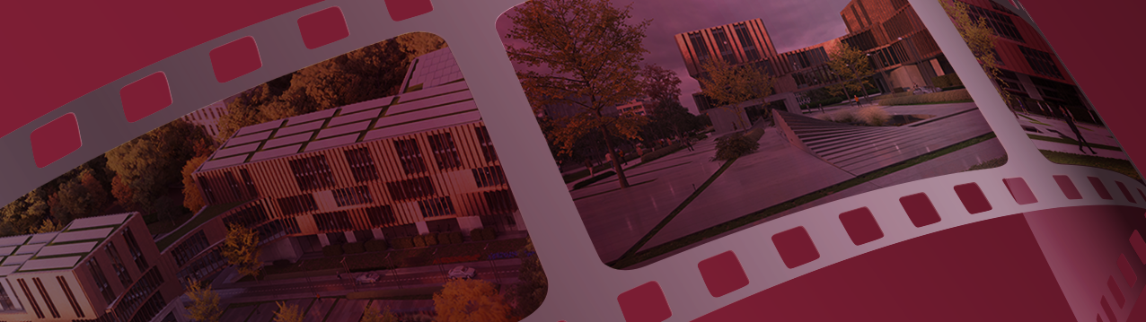 product-thumb-envision-1276x359.png
